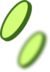 vettore